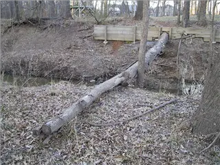 small_000227 trailIMG_3230.webp